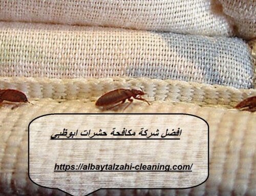 افضل شركة مكافحة حشرات في ابوظبي |0545226705
