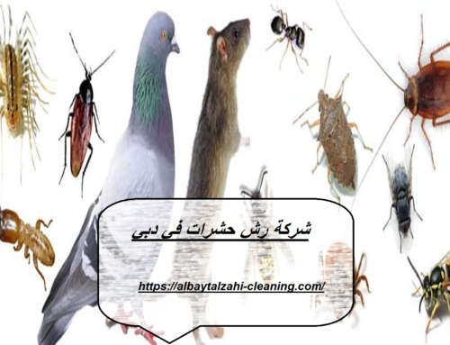 شركة رش حشرات في دبي |0545226705| رش مبيدات