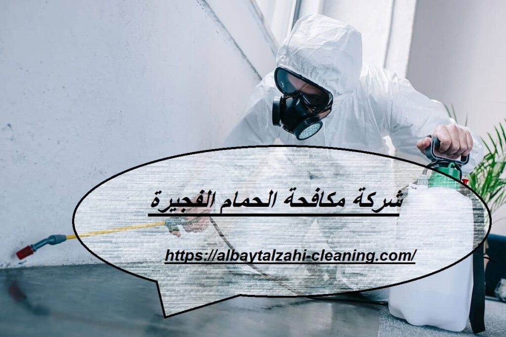 شركة مكافحة الحمام الفجيرة |0545226705| تركيب شبك