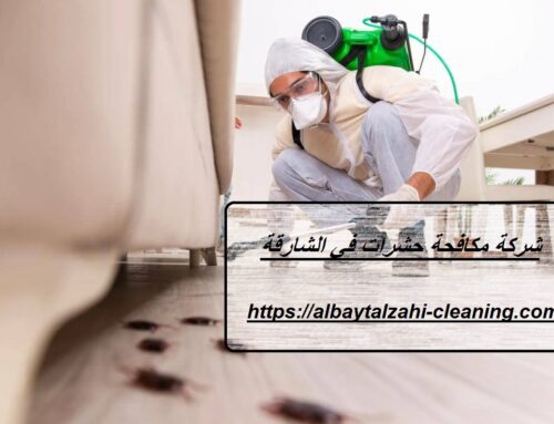 شركة مكافحة حشرات في الشارقة |0545226705| رش مبيدات